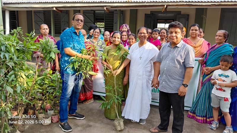 Tree Plantation and Sapling Distribution